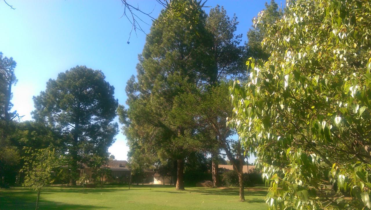 ניוקאסל Farmhouse Lodge מראה חיצוני תמונה